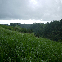 Photo de Bali - Balade, Garuda et spectacle